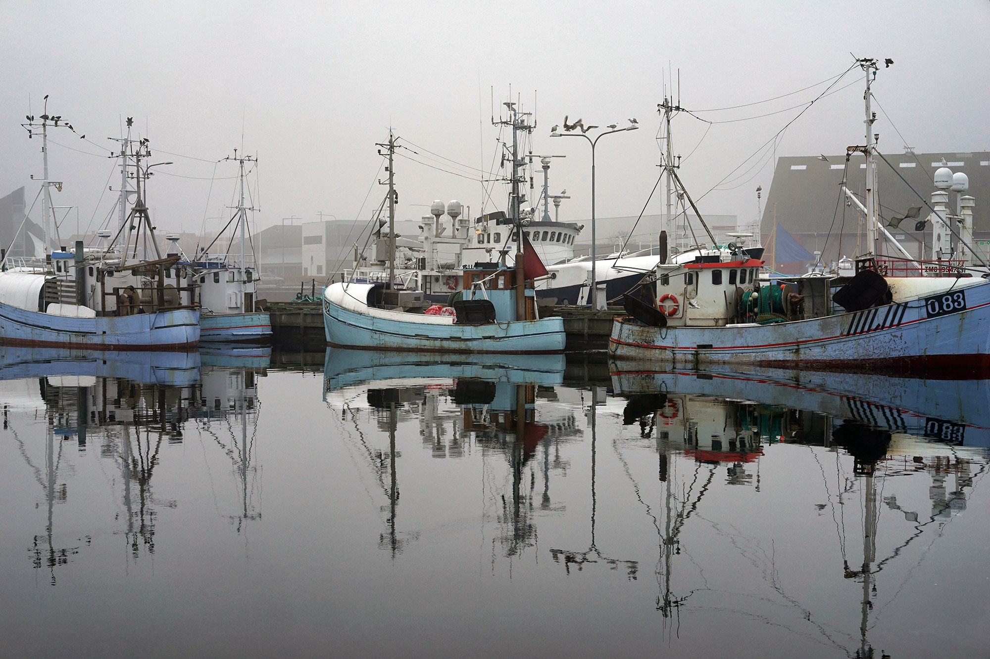 cwangdk-fiskerihavnen-diset-vejr-b=2000.jpg